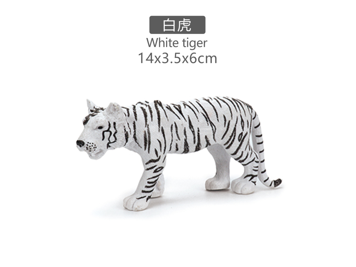 5寸白虎