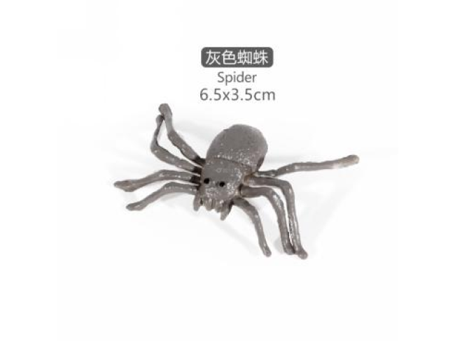 2寸迷你蜘蛛3