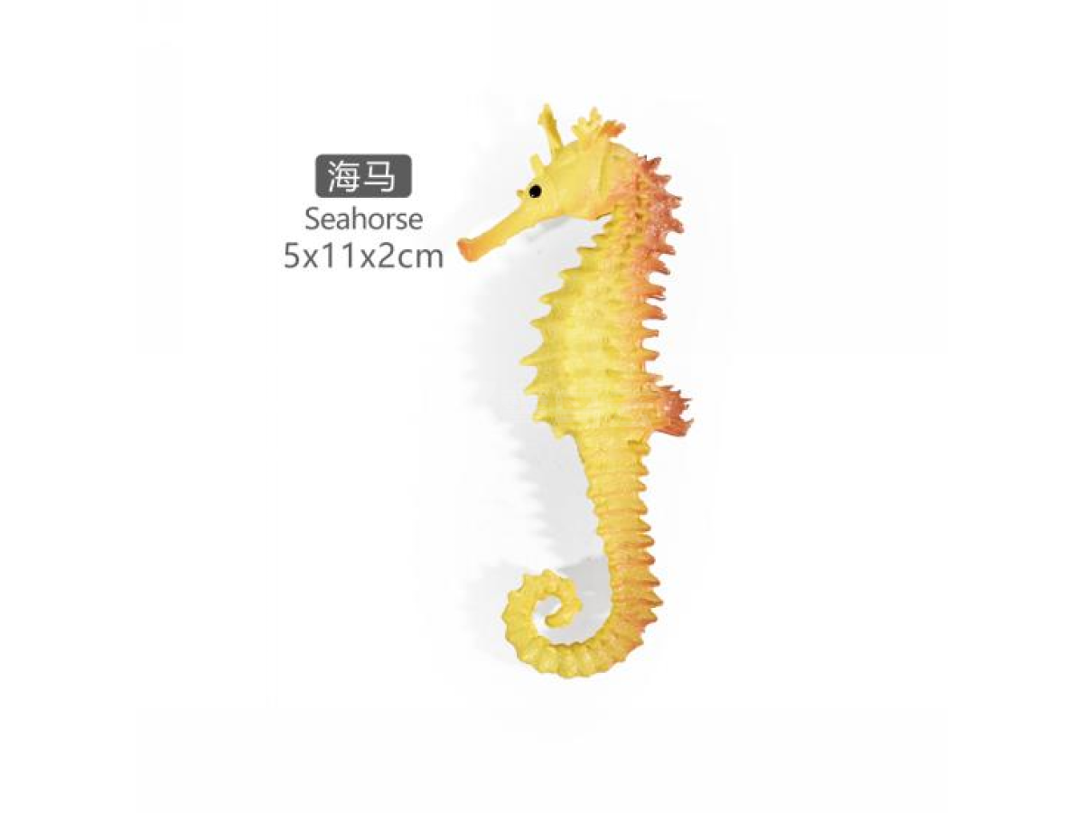 5寸海马