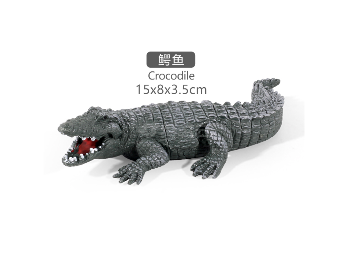 5寸鳄鱼