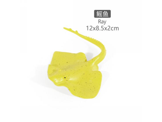 5寸魔鬼鱼