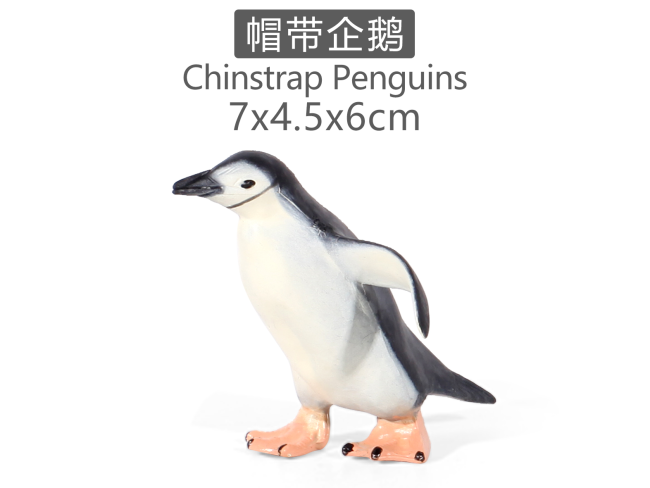 实心彩绘帽带企鹅