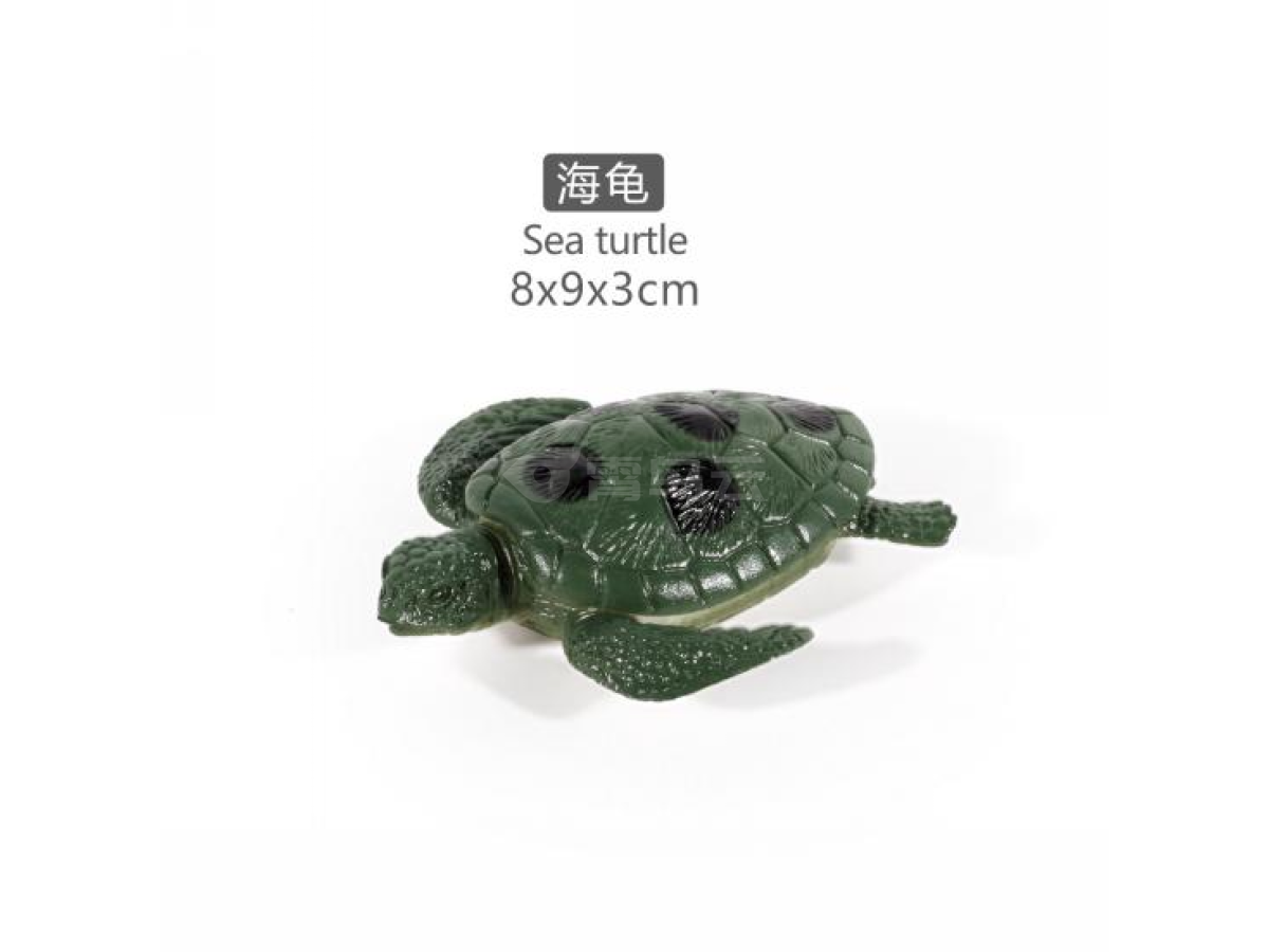 5寸海龟