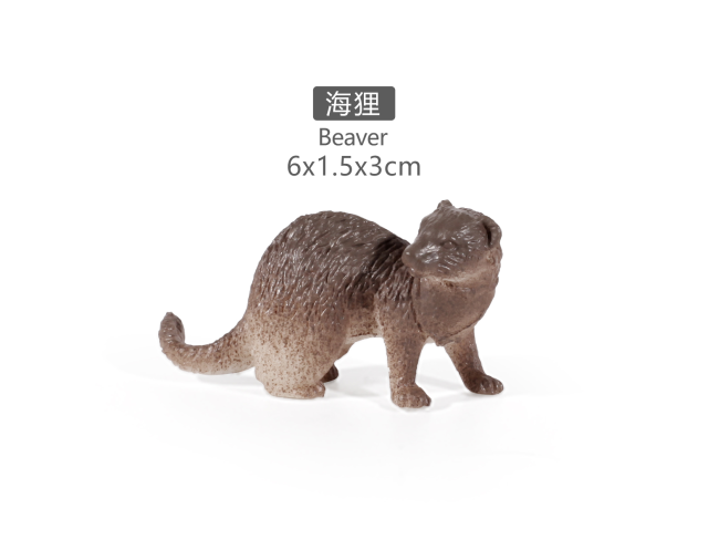 2寸海狸