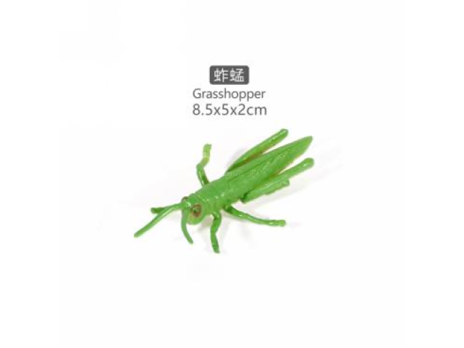 4寸蚱蜢