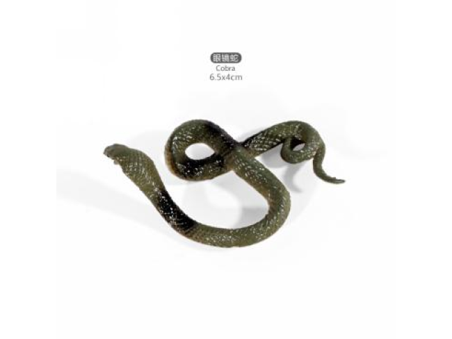 2寸小蛇8