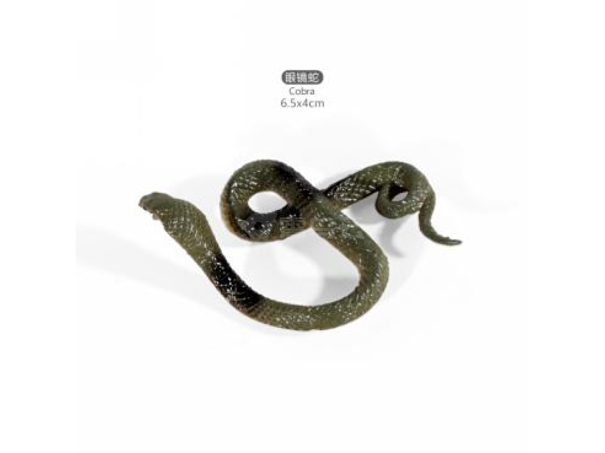 2寸小蛇8