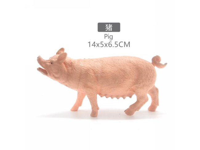 5寸猪