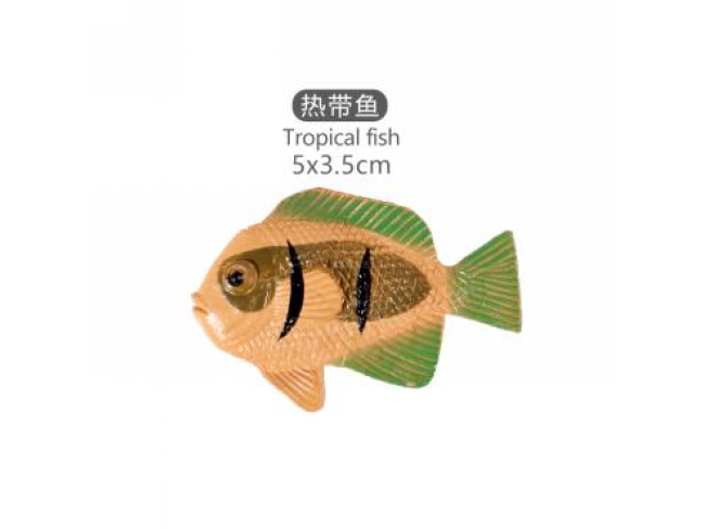 2寸热带鱼10