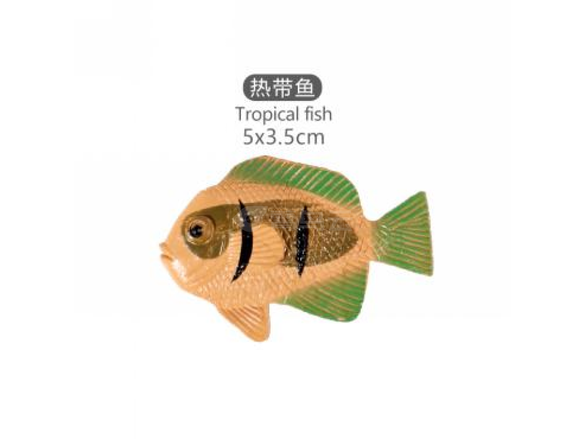 2寸热带鱼10