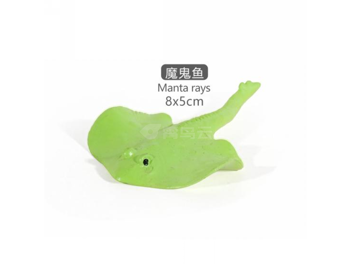 2寸魔鬼鱼