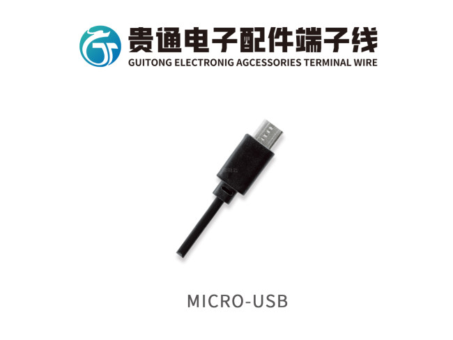 MICRO-USB
