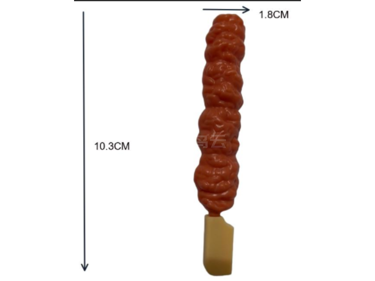烧烤BBQ吹瓶烤肠烤翅烤串玩具