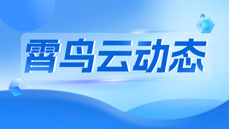 IP联名质变：从流量工具到驱动消费升级的战略核心