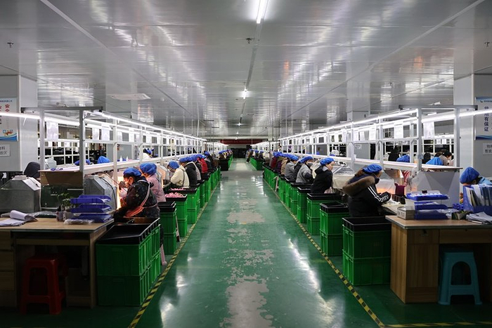 订单增长产能扩张，贵州玩具制造注入发展新动能